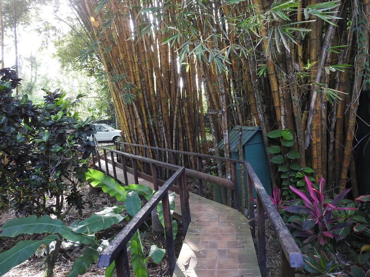 Playa Negra Guesthouse Cahuita Exterior photo